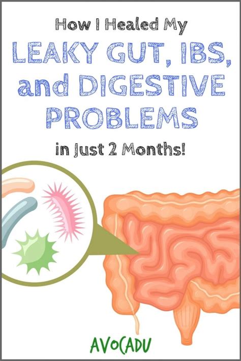 Injuries to the digestive tracts lining can result in leaky gut syndrome, which allows pathogens and toxins to leak into the bloodstream. . How i healed my leaky gut